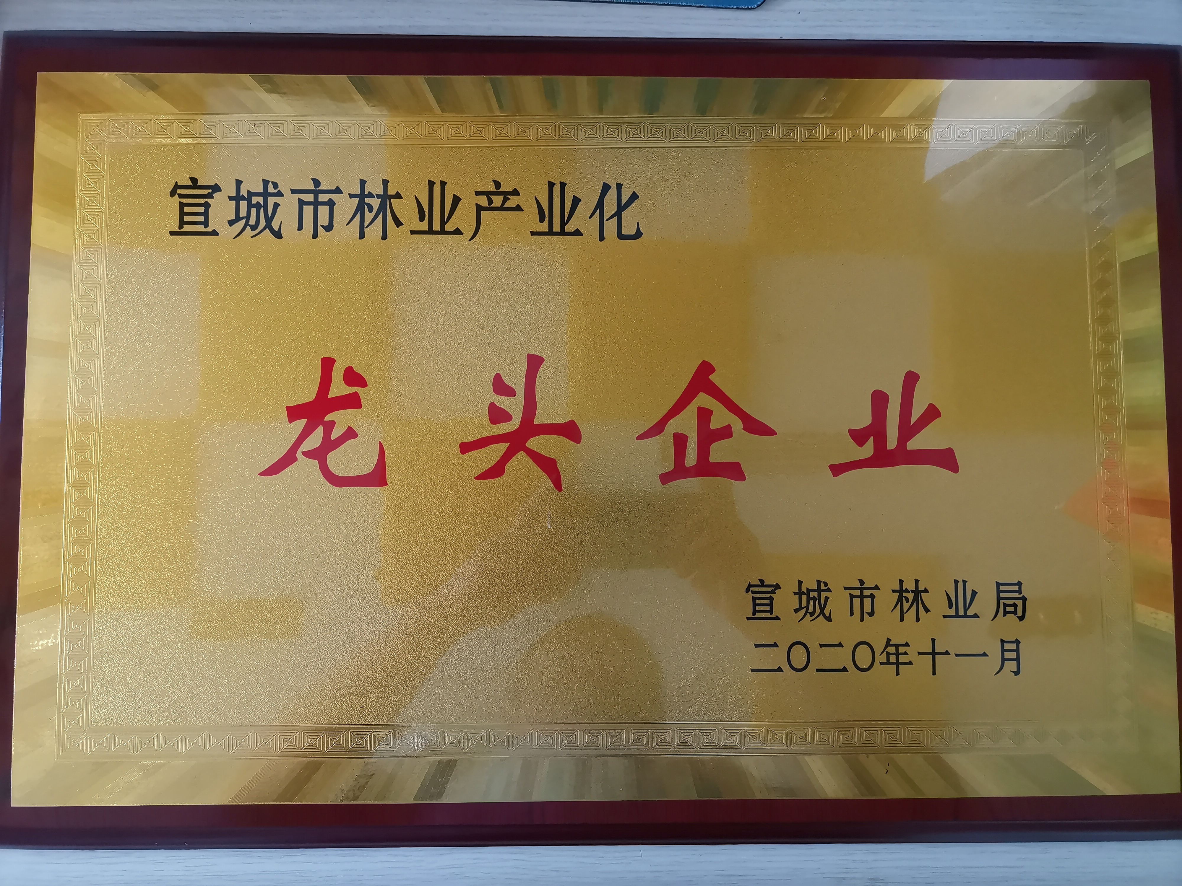热烈祝贺东南木业荣获宣城市林业产业化龙头企业单位